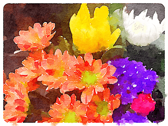 Waterlogueで加工した花の写真